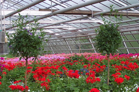 Benninger und Hauber Gartenbaubetrieb Inh. Josef Hauber