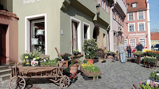 Blumen Benninger und Hauber