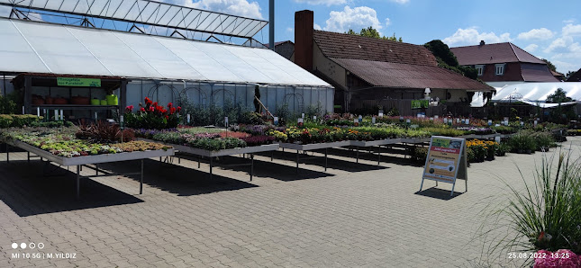 Ritter - Blumen und Pflanzen