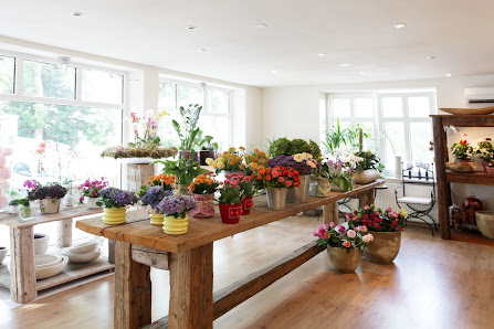 Blumenstudio Rauh