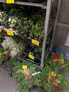 Blumen Hes