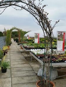 Blumen Krippner