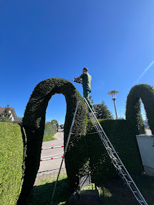 Nistor Gartenbau