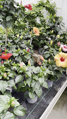 Blumenhof Pein
