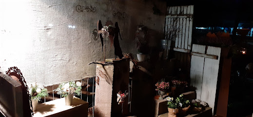Die Rose