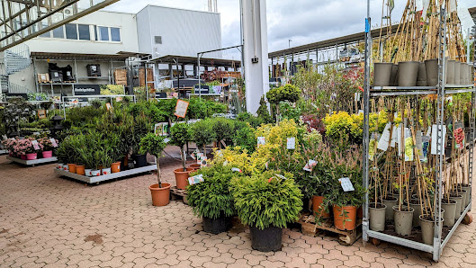 OBI Gartencenter Neuburg