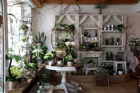 Connys Blumenstube Inh. Cornelia Woiton e.K.