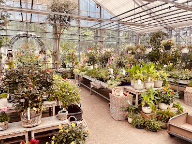 Johs. Wortmann Pflanzen-Gartenbedarf GmbH