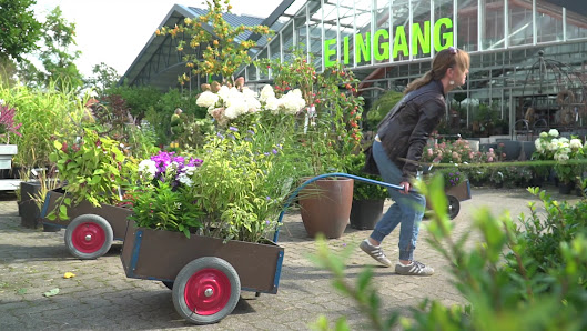 Johs. Wortmann Pflanzen-Gartenbedarf GmbH