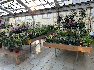 Blumen Baur