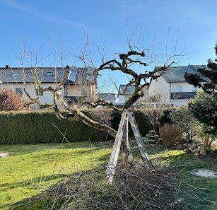 Garten- & Landschaftspflege Hejsek
