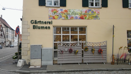 Lauingen (Donau)