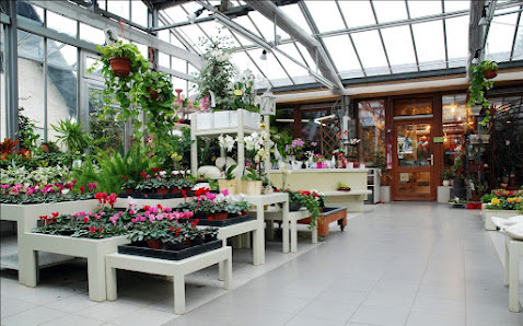 Blumen Söhner
