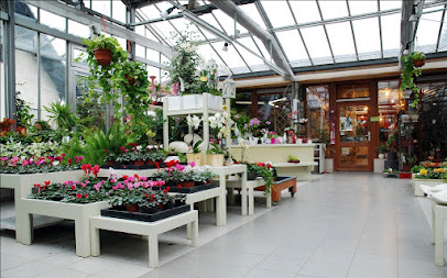 Blumen Söhner
