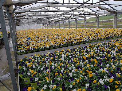 Liebl Gartenbau- Vertriebs u. Handels GmbH