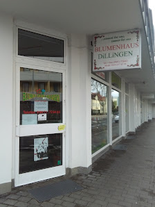 Blumenhaus Dillingen