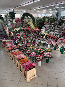 Blumenhaus Dillingen