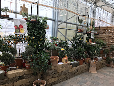 Gartencenter Gilg GmbH