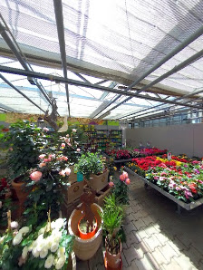 Blumen und Gartenparadies Häntsche