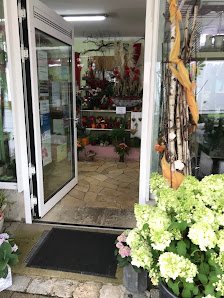 Blumen Haas