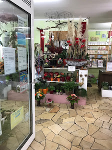 Blumen Haas