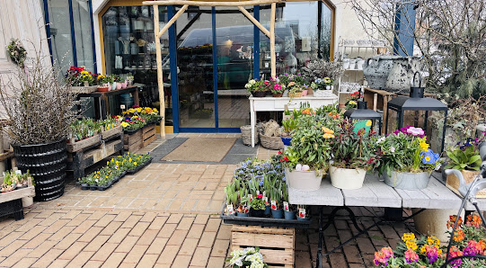 Blumen Strobel
