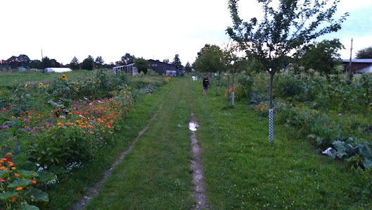 Erlebnisgarten-Hamburg