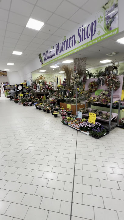 Holland Bloemen Shops UG