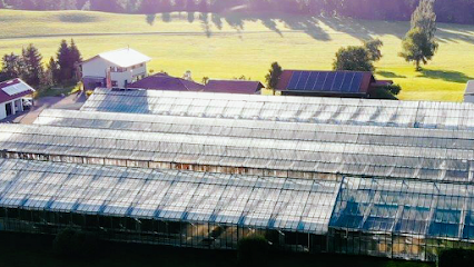 Gärtnerei Hauf