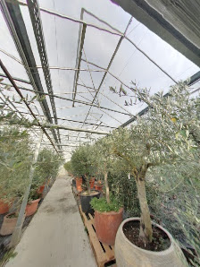 Gartenbau Johannes Ferchl