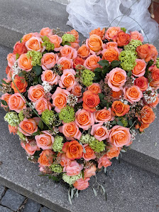 Passiflori