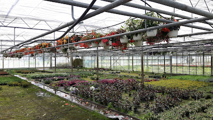 Beeken Gartenbau