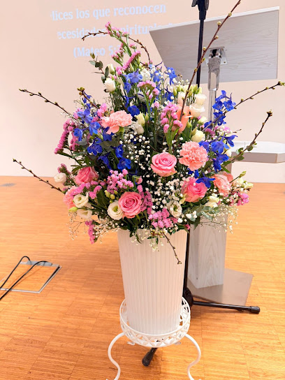 Feneberg Blumen