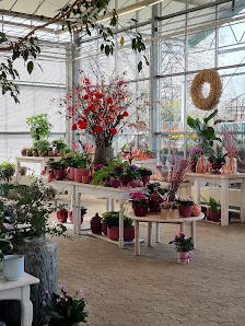 Gärtnerei Blumenhof Kefer