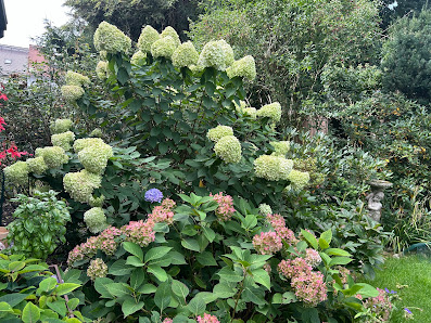 Gartenbau-Scheller