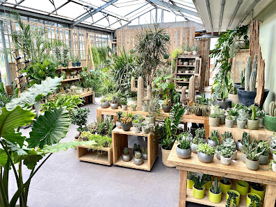 Rother's Blumen-Paradies e.K.