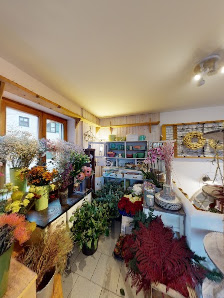 Dornröschen Blumen