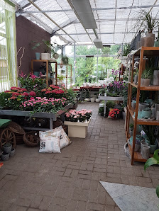 Blumen Fahje