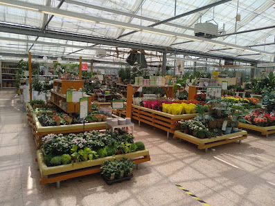 Dehner Garten-Center