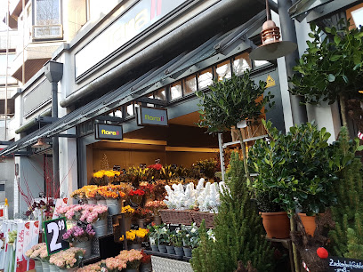 florali Waitzstraße - Blumen in Othmarschen