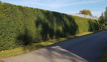 Georg Pfaffenberger Garten-Baum-Zaun