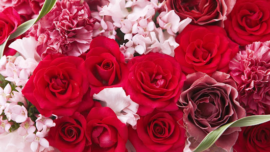 Blumen Christa Buchner
