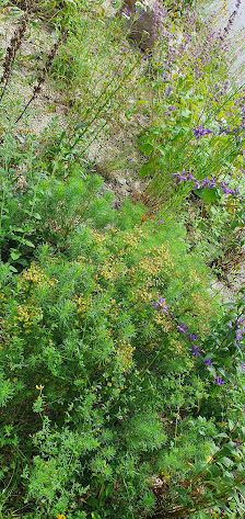 Kerstin Tusl Dipl. Ing. (FH) Garten- & Landschaftsbau