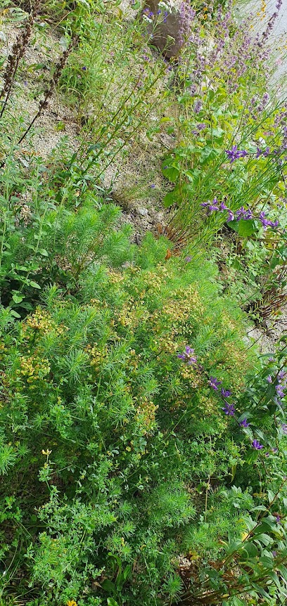 Gartenbauer