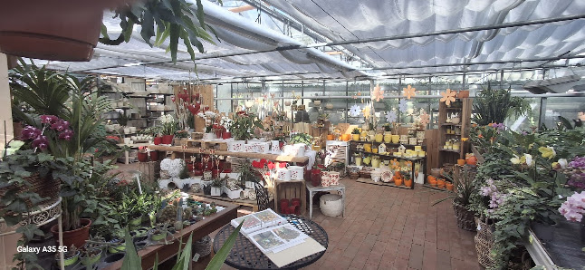Cramer Gärtnerei & Orchideenzucht