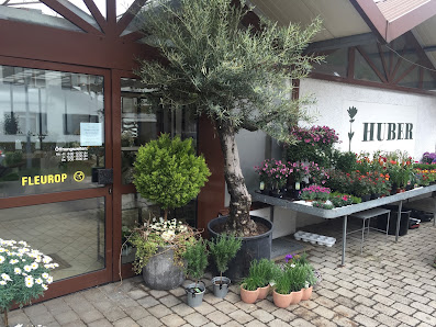 Blumen Huber