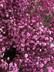Filser Gartenbau e.K.