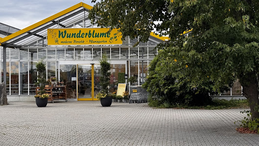 Wunderblume