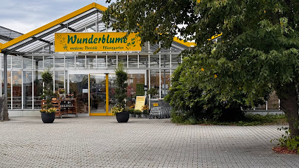 Wunderblume