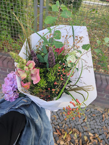 Blumenhaus Schamp